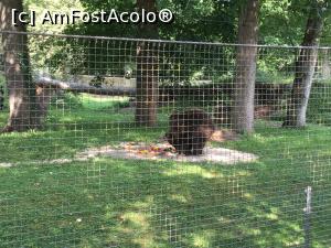 [P46] Zoo Ulm - Mos Martin e mai retras, dar si-a primit platoul cu bunatati » foto by mishu
 - 
<span class="allrVoted glyphicon glyphicon-heart hidden" id="av1205638"></span>
<a class="m-l-10 hidden" id="sv1205638" onclick="voting_Foto_DelVot(,1205638,3969)" role="button">șterge vot <span class="glyphicon glyphicon-remove"></span></a>
<a id="v91205638" class=" c-red"  onclick="voting_Foto_SetVot(1205638)" role="button"><span class="glyphicon glyphicon-heart-empty"></span> <b>LIKE</b> = Votează poza</a> <img class="hidden"  id="f1205638W9" src="/imagini/loader.gif" border="0" /><span class="AjErrMes hidden" id="e1205638ErM"></span>