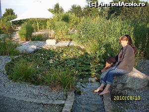 [P23] Mic lac cu nuferi (galbeni) aflat pe traseul cănăluțului.  » foto by puiutea
 - 
<span class="allrVoted glyphicon glyphicon-heart hidden" id="av579290"></span>
<a class="m-l-10 hidden" id="sv579290" onclick="voting_Foto_DelVot(,579290,3969)" role="button">șterge vot <span class="glyphicon glyphicon-remove"></span></a>
<a id="v9579290" class=" c-red"  onclick="voting_Foto_SetVot(579290)" role="button"><span class="glyphicon glyphicon-heart-empty"></span> <b>LIKE</b> = Votează poza</a> <img class="hidden"  id="f579290W9" src="/imagini/loader.gif" border="0" /><span class="AjErrMes hidden" id="e579290ErM"></span>