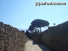 [P16] Vicolo dei Fuggiaschi,spre Orto dei Fuggiaschi, unde sunt expuse, trupurile pietrificate. » foto by mecut
 - 
<span class="allrVoted glyphicon glyphicon-heart hidden" id="av189605"></span>
<a class="m-l-10 hidden" id="sv189605" onclick="voting_Foto_DelVot(,189605,3976)" role="button">șterge vot <span class="glyphicon glyphicon-remove"></span></a>
<a id="v9189605" class=" c-red"  onclick="voting_Foto_SetVot(189605)" role="button"><span class="glyphicon glyphicon-heart-empty"></span> <b>LIKE</b> = Votează poza</a> <img class="hidden"  id="f189605W9" src="/imagini/loader.gif" border="0" /><span class="AjErrMes hidden" id="e189605ErM"></span>