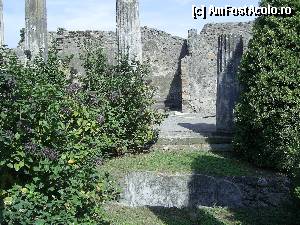 [P47] Pompei - Oraşul antic.  » foto by iulianic
 - 
<span class="allrVoted glyphicon glyphicon-heart hidden" id="av404916"></span>
<a class="m-l-10 hidden" id="sv404916" onclick="voting_Foto_DelVot(,404916,3976)" role="button">șterge vot <span class="glyphicon glyphicon-remove"></span></a>
<a id="v9404916" class=" c-red"  onclick="voting_Foto_SetVot(404916)" role="button"><span class="glyphicon glyphicon-heart-empty"></span> <b>LIKE</b> = Votează poza</a> <img class="hidden"  id="f404916W9" src="/imagini/loader.gif" border="0" /><span class="AjErrMes hidden" id="e404916ErM"></span>