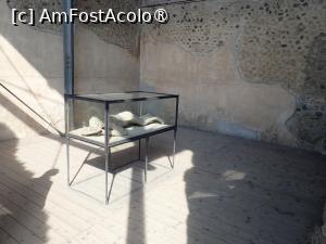 [P14] Pompeii - mulaj locuitor prins de cenușa fierbinte » foto by Dragoș_MD
 - 
<span class="allrVoted glyphicon glyphicon-heart hidden" id="av1485779"></span>
<a class="m-l-10 hidden" id="sv1485779" onclick="voting_Foto_DelVot(,1485779,3976)" role="button">șterge vot <span class="glyphicon glyphicon-remove"></span></a>
<a id="v91485779" class=" c-red"  onclick="voting_Foto_SetVot(1485779)" role="button"><span class="glyphicon glyphicon-heart-empty"></span> <b>LIKE</b> = Votează poza</a> <img class="hidden"  id="f1485779W9" src="/imagini/loader.gif" border="0" /><span class="AjErrMes hidden" id="e1485779ErM"></span>