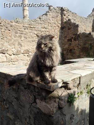 [P17] Pompeii - localnicii » foto by Dragoș_MD
 - 
<span class="allrVoted glyphicon glyphicon-heart hidden" id="av1485782"></span>
<a class="m-l-10 hidden" id="sv1485782" onclick="voting_Foto_DelVot(,1485782,3976)" role="button">șterge vot <span class="glyphicon glyphicon-remove"></span></a>
<a id="v91485782" class=" c-red"  onclick="voting_Foto_SetVot(1485782)" role="button"><span class="glyphicon glyphicon-heart-empty"></span> <b>LIKE</b> = Votează poza</a> <img class="hidden"  id="f1485782W9" src="/imagini/loader.gif" border="0" /><span class="AjErrMes hidden" id="e1485782ErM"></span>