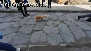 [P19] Pompeii - vizitatorii » foto by Dragoș_MD
 - 
<span class="allrVoted glyphicon glyphicon-heart hidden" id="av1485784"></span>
<a class="m-l-10 hidden" id="sv1485784" onclick="voting_Foto_DelVot(,1485784,3976)" role="button">șterge vot <span class="glyphicon glyphicon-remove"></span></a>
<a id="v91485784" class=" c-red"  onclick="voting_Foto_SetVot(1485784)" role="button"><span class="glyphicon glyphicon-heart-empty"></span> <b>LIKE</b> = Votează poza</a> <img class="hidden"  id="f1485784W9" src="/imagini/loader.gif" border="0" /><span class="AjErrMes hidden" id="e1485784ErM"></span>