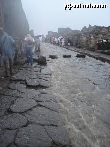 [P32] pe strada in pompei... pe ploaie » foto by a.sr*
 - 
<span class="allrVoted glyphicon glyphicon-heart hidden" id="av268770"></span>
<a class="m-l-10 hidden" id="sv268770" onclick="voting_Foto_DelVot(,268770,3976)" role="button">șterge vot <span class="glyphicon glyphicon-remove"></span></a>
<a id="v9268770" class=" c-red"  onclick="voting_Foto_SetVot(268770)" role="button"><span class="glyphicon glyphicon-heart-empty"></span> <b>LIKE</b> = Votează poza</a> <img class="hidden"  id="f268770W9" src="/imagini/loader.gif" border="0" /><span class="AjErrMes hidden" id="e268770ErM"></span>