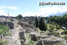 [P12] ITALIA  POMPEI » foto by relu1988
 - 
<span class="allrVoted glyphicon glyphicon-heart hidden" id="av178458"></span>
<a class="m-l-10 hidden" id="sv178458" onclick="voting_Foto_DelVot(,178458,3976)" role="button">șterge vot <span class="glyphicon glyphicon-remove"></span></a>
<a id="v9178458" class=" c-red"  onclick="voting_Foto_SetVot(178458)" role="button"><span class="glyphicon glyphicon-heart-empty"></span> <b>LIKE</b> = Votează poza</a> <img class="hidden"  id="f178458W9" src="/imagini/loader.gif" border="0" /><span class="AjErrMes hidden" id="e178458ErM"></span>