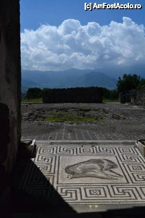 [P02] Pompei » foto by holidaydreamer
 - 
<span class="allrVoted glyphicon glyphicon-heart hidden" id="av425936"></span>
<a class="m-l-10 hidden" id="sv425936" onclick="voting_Foto_DelVot(,425936,3976)" role="button">șterge vot <span class="glyphicon glyphicon-remove"></span></a>
<a id="v9425936" class=" c-red"  onclick="voting_Foto_SetVot(425936)" role="button"><span class="glyphicon glyphicon-heart-empty"></span> <b>LIKE</b> = Votează poza</a> <img class="hidden"  id="f425936W9" src="/imagini/loader.gif" border="0" /><span class="AjErrMes hidden" id="e425936ErM"></span>