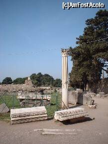 [P01] Pompei,un cocteil de istorie, legenda, marmura si multa verdeata » foto by dorgo
 - 
<span class="allrVoted glyphicon glyphicon-heart hidden" id="av260438"></span>
<a class="m-l-10 hidden" id="sv260438" onclick="voting_Foto_DelVot(,260438,3976)" role="button">șterge vot <span class="glyphicon glyphicon-remove"></span></a>
<a id="v9260438" class=" c-red"  onclick="voting_Foto_SetVot(260438)" role="button"><span class="glyphicon glyphicon-heart-empty"></span> <b>LIKE</b> = Votează poza</a> <img class="hidden"  id="f260438W9" src="/imagini/loader.gif" border="0" /><span class="AjErrMes hidden" id="e260438ErM"></span>