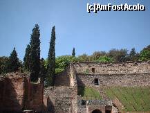 [P13] Vegetatia abundenta, aici la Pompei,e tinuta sub control,ea nu are voie sa invadeze ruinele vilelor patricienilor urbei » foto by dorgo
 - 
<span class="allrVoted glyphicon glyphicon-heart hidden" id="av260450"></span>
<a class="m-l-10 hidden" id="sv260450" onclick="voting_Foto_DelVot(,260450,3976)" role="button">șterge vot <span class="glyphicon glyphicon-remove"></span></a>
<a id="v9260450" class=" c-red"  onclick="voting_Foto_SetVot(260450)" role="button"><span class="glyphicon glyphicon-heart-empty"></span> <b>LIKE</b> = Votează poza</a> <img class="hidden"  id="f260450W9" src="/imagini/loader.gif" border="0" /><span class="AjErrMes hidden" id="e260450ErM"></span>