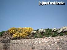 [P16] Peste tot esti insotit de parfumul florilor de cuisoare » foto by dorgo
 - 
<span class="allrVoted glyphicon glyphicon-heart hidden" id="av260453"></span>
<a class="m-l-10 hidden" id="sv260453" onclick="voting_Foto_DelVot(,260453,3976)" role="button">șterge vot <span class="glyphicon glyphicon-remove"></span></a>
<a id="v9260453" class=" c-red"  onclick="voting_Foto_SetVot(260453)" role="button"><span class="glyphicon glyphicon-heart-empty"></span> <b>LIKE</b> = Votează poza</a> <img class="hidden"  id="f260453W9" src="/imagini/loader.gif" border="0" /><span class="AjErrMes hidden" id="e260453ErM"></span>