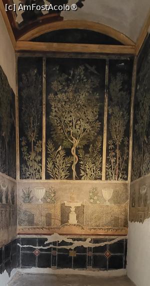 [P17] Casa Livada (Regio I, 13) are un atrium cu un spatiu verde in spate. Incaperea este caracterizata de trei copaci de dimensiuni diferite, dintre care cel mai mare din centru, un smochin, este refugiul unui sarpe, simbol al prosperitatii.  » foto by geani anto
 - 
<span class="allrVoted glyphicon glyphicon-heart hidden" id="av1410674"></span>
<a class="m-l-10 hidden" id="sv1410674" onclick="voting_Foto_DelVot(,1410674,3976)" role="button">șterge vot <span class="glyphicon glyphicon-remove"></span></a>
<a id="v91410674" class=" c-red"  onclick="voting_Foto_SetVot(1410674)" role="button"><span class="glyphicon glyphicon-heart-empty"></span> <b>LIKE</b> = Votează poza</a> <img class="hidden"  id="f1410674W9" src="/imagini/loader.gif" border="0" /><span class="AjErrMes hidden" id="e1410674ErM"></span>