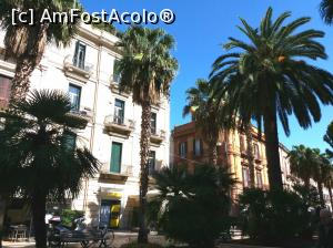 [P07] Palmieri pe Corso Vittorio Emanuele » foto by Rodel
 - 
<span class="allrVoted glyphicon glyphicon-heart hidden" id="av914377"></span>
<a class="m-l-10 hidden" id="sv914377" onclick="voting_Foto_DelVot(,914377,3993)" role="button">șterge vot <span class="glyphicon glyphicon-remove"></span></a>
<a id="v9914377" class=" c-red"  onclick="voting_Foto_SetVot(914377)" role="button"><span class="glyphicon glyphicon-heart-empty"></span> <b>LIKE</b> = Votează poza</a> <img class="hidden"  id="f914377W9" src="/imagini/loader.gif" border="0" /><span class="AjErrMes hidden" id="e914377ErM"></span>