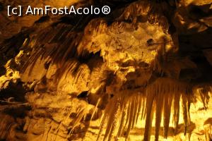 [P07] Detaliu cu stalagtite » foto by IoanaV
 - 
<span class="allrVoted glyphicon glyphicon-heart hidden" id="av889508"></span>
<a class="m-l-10 hidden" id="sv889508" onclick="voting_Foto_DelVot(,889508,3993)" role="button">șterge vot <span class="glyphicon glyphicon-remove"></span></a>
<a id="v9889508" class=" c-red"  onclick="voting_Foto_SetVot(889508)" role="button"><span class="glyphicon glyphicon-heart-empty"></span> <b>LIKE</b> = Votează poza</a> <img class="hidden"  id="f889508W9" src="/imagini/loader.gif" border="0" /><span class="AjErrMes hidden" id="e889508ErM"></span>