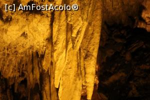[P09] Pe langa faldurile de stalagtite apar si cristale de calcit » foto by IoanaV
 - 
<span class="allrVoted glyphicon glyphicon-heart hidden" id="av889510"></span>
<a class="m-l-10 hidden" id="sv889510" onclick="voting_Foto_DelVot(,889510,3993)" role="button">șterge vot <span class="glyphicon glyphicon-remove"></span></a>
<a id="v9889510" class=" c-red"  onclick="voting_Foto_SetVot(889510)" role="button"><span class="glyphicon glyphicon-heart-empty"></span> <b>LIKE</b> = Votează poza</a> <img class="hidden"  id="f889510W9" src="/imagini/loader.gif" border="0" /><span class="AjErrMes hidden" id="e889510ErM"></span>