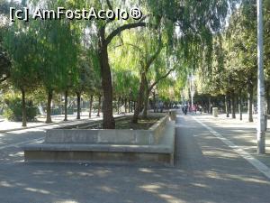 [P46] Piazza și parcul Umberto I din fața Universității Aldo Moro, în continuarea străzii Sparano, spre gară.  » foto by Aurici
 - 
<span class="allrVoted glyphicon glyphicon-heart hidden" id="av733582"></span>
<a class="m-l-10 hidden" id="sv733582" onclick="voting_Foto_DelVot(,733582,3993)" role="button">șterge vot <span class="glyphicon glyphicon-remove"></span></a>
<a id="v9733582" class=" c-red"  onclick="voting_Foto_SetVot(733582)" role="button"><span class="glyphicon glyphicon-heart-empty"></span> <b>LIKE</b> = Votează poza</a> <img class="hidden"  id="f733582W9" src="/imagini/loader.gif" border="0" /><span class="AjErrMes hidden" id="e733582ErM"></span>