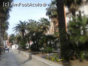 [P51] Pe Vittorio Emanuele - principala arteră din Bari. Aici sunt toate instituțiile importante și cele mai frumoase hoteluri.  » foto by Aurici
 - 
<span class="allrVoted glyphicon glyphicon-heart hidden" id="av733595"></span>
<a class="m-l-10 hidden" id="sv733595" onclick="voting_Foto_DelVot(,733595,3993)" role="button">șterge vot <span class="glyphicon glyphicon-remove"></span></a>
<a id="v9733595" class=" c-red"  onclick="voting_Foto_SetVot(733595)" role="button"><span class="glyphicon glyphicon-heart-empty"></span> <b>LIKE</b> = Votează poza</a> <img class="hidden"  id="f733595W9" src="/imagini/loader.gif" border="0" /><span class="AjErrMes hidden" id="e733595ErM"></span>