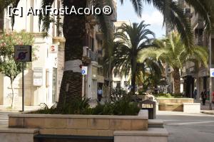 [P17] principala alee pietonala din Bari » foto by bogdanescu07
 - 
<span class="allrVoted glyphicon glyphicon-heart hidden" id="av892283"></span>
<a class="m-l-10 hidden" id="sv892283" onclick="voting_Foto_DelVot(,892283,3993)" role="button">șterge vot <span class="glyphicon glyphicon-remove"></span></a>
<a id="v9892283" class=" c-red"  onclick="voting_Foto_SetVot(892283)" role="button"><span class="glyphicon glyphicon-heart-empty"></span> <b>LIKE</b> = Votează poza</a> <img class="hidden"  id="f892283W9" src="/imagini/loader.gif" border="0" /><span class="AjErrMes hidden" id="e892283ErM"></span>