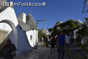 [P32] Alberobello » foto by bogdanescu07
 - 
<span class="allrVoted glyphicon glyphicon-heart hidden" id="av892301"></span>
<a class="m-l-10 hidden" id="sv892301" onclick="voting_Foto_DelVot(,892301,3993)" role="button">șterge vot <span class="glyphicon glyphicon-remove"></span></a>
<a id="v9892301" class=" c-red"  onclick="voting_Foto_SetVot(892301)" role="button"><span class="glyphicon glyphicon-heart-empty"></span> <b>LIKE</b> = Votează poza</a> <img class="hidden"  id="f892301W9" src="/imagini/loader.gif" border="0" /><span class="AjErrMes hidden" id="e892301ErM"></span>