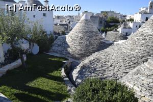 [P33] Alberobello » foto by bogdanescu07
 - 
<span class="allrVoted glyphicon glyphicon-heart hidden" id="av892302"></span>
<a class="m-l-10 hidden" id="sv892302" onclick="voting_Foto_DelVot(,892302,3993)" role="button">șterge vot <span class="glyphicon glyphicon-remove"></span></a>
<a id="v9892302" class=" c-red"  onclick="voting_Foto_SetVot(892302)" role="button"><span class="glyphicon glyphicon-heart-empty"></span> <b>LIKE</b> = Votează poza</a> <img class="hidden"  id="f892302W9" src="/imagini/loader.gif" border="0" /><span class="AjErrMes hidden" id="e892302ErM"></span>