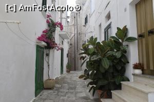 [P41] Ostuni » foto by bogdanescu07
 - 
<span class="allrVoted glyphicon glyphicon-heart hidden" id="av892311"></span>
<a class="m-l-10 hidden" id="sv892311" onclick="voting_Foto_DelVot(,892311,3993)" role="button">șterge vot <span class="glyphicon glyphicon-remove"></span></a>
<a id="v9892311" class=" c-red"  onclick="voting_Foto_SetVot(892311)" role="button"><span class="glyphicon glyphicon-heart-empty"></span> <b>LIKE</b> = Votează poza</a> <img class="hidden"  id="f892311W9" src="/imagini/loader.gif" border="0" /><span class="AjErrMes hidden" id="e892311ErM"></span>