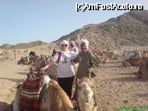 [P17] Desertul Sahara - caravana de camile » foto by Diaura*
 - 
<span class="allrVoted glyphicon glyphicon-heart hidden" id="av30475"></span>
<a class="m-l-10 hidden" id="sv30475" onclick="voting_Foto_DelVot(,30475,3997)" role="button">șterge vot <span class="glyphicon glyphicon-remove"></span></a>
<a id="v930475" class=" c-red"  onclick="voting_Foto_SetVot(30475)" role="button"><span class="glyphicon glyphicon-heart-empty"></span> <b>LIKE</b> = Votează poza</a> <img class="hidden"  id="f30475W9" src="/imagini/loader.gif" border="0" /><span class="AjErrMes hidden" id="e30475ErM"></span>
