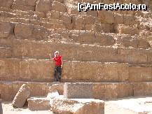 [P25] Cairo - Platoul Giza - Piramida lui Kefren » foto by Diaura*
 - 
<span class="allrVoted glyphicon glyphicon-heart hidden" id="av30484"></span>
<a class="m-l-10 hidden" id="sv30484" onclick="voting_Foto_DelVot(,30484,3997)" role="button">șterge vot <span class="glyphicon glyphicon-remove"></span></a>
<a id="v930484" class=" c-red"  onclick="voting_Foto_SetVot(30484)" role="button"><span class="glyphicon glyphicon-heart-empty"></span> <b>LIKE</b> = Votează poza</a> <img class="hidden"  id="f30484W9" src="/imagini/loader.gif" border="0" /><span class="AjErrMes hidden" id="e30484ErM"></span>