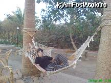 [P03] Hurghada - Hotel Empire » foto by Diaura*
 - 
<span class="allrVoted glyphicon glyphicon-heart hidden" id="av30459"></span>
<a class="m-l-10 hidden" id="sv30459" onclick="voting_Foto_DelVot(,30459,3997)" role="button">șterge vot <span class="glyphicon glyphicon-remove"></span></a>
<a id="v930459" class=" c-red"  onclick="voting_Foto_SetVot(30459)" role="button"><span class="glyphicon glyphicon-heart-empty"></span> <b>LIKE</b> = Votează poza</a> <img class="hidden"  id="f30459W9" src="/imagini/loader.gif" border="0" /><span class="AjErrMes hidden" id="e30459ErM"></span>