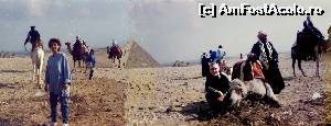 [P15] Printre camile si piramide - Egipt » foto by Dan-Ioan
 - 
<span class="allrVoted glyphicon glyphicon-heart hidden" id="av566921"></span>
<a class="m-l-10 hidden" id="sv566921" onclick="voting_Foto_DelVot(,566921,3997)" role="button">șterge vot <span class="glyphicon glyphicon-remove"></span></a>
<a id="v9566921" class=" c-red"  onclick="voting_Foto_SetVot(566921)" role="button"><span class="glyphicon glyphicon-heart-empty"></span> <b>LIKE</b> = Votează poza</a> <img class="hidden"  id="f566921W9" src="/imagini/loader.gif" border="0" /><span class="AjErrMes hidden" id="e566921ErM"></span>