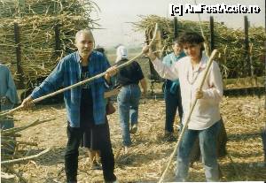[P22] Muncă voluntară la cules de trestie de zahar egiptean » foto by Dan-Ioan
 - 
<span class="allrVoted glyphicon glyphicon-heart hidden" id="av689585"></span>
<a class="m-l-10 hidden" id="sv689585" onclick="voting_Foto_DelVot(,689585,3997)" role="button">șterge vot <span class="glyphicon glyphicon-remove"></span></a>
<a id="v9689585" class=" c-red"  onclick="voting_Foto_SetVot(689585)" role="button"><span class="glyphicon glyphicon-heart-empty"></span> <b>LIKE</b> = Votează poza</a> <img class="hidden"  id="f689585W9" src="/imagini/loader.gif" border="0" /><span class="AjErrMes hidden" id="e689585ErM"></span>