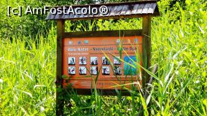 [P04] Panou turistic la intrarea în stufărișul Băilor Nașaș (de Stuf)  » foto by Lucien
 - 
<span class="allrVoted glyphicon glyphicon-heart hidden" id="av805136"></span>
<a class="m-l-10 hidden" id="sv805136" onclick="voting_Foto_DelVot(,805136,3998)" role="button">șterge vot <span class="glyphicon glyphicon-remove"></span></a>
<a id="v9805136" class=" c-red"  onclick="voting_Foto_SetVot(805136)" role="button"><span class="glyphicon glyphicon-heart-empty"></span> <b>LIKE</b> = Votează poza</a> <img class="hidden"  id="f805136W9" src="/imagini/loader.gif" border="0" /><span class="AjErrMes hidden" id="e805136ErM"></span>