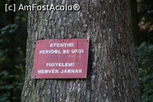 [P02] No comment!  » foto by Utube
 - 
<span class="allrVoted glyphicon glyphicon-heart hidden" id="av771307"></span>
<a class="m-l-10 hidden" id="sv771307" onclick="voting_Foto_DelVot(,771307,3998)" role="button">șterge vot <span class="glyphicon glyphicon-remove"></span></a>
<a id="v9771307" class=" c-red"  onclick="voting_Foto_SetVot(771307)" role="button"><span class="glyphicon glyphicon-heart-empty"></span> <b>LIKE</b> = Votează poza</a> <img class="hidden"  id="f771307W9" src="/imagini/loader.gif" border="0" /><span class="AjErrMes hidden" id="e771307ErM"></span>
