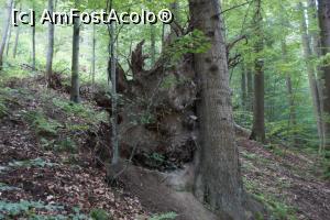 [P37] Acolo stă ascuns ursul?  » foto by Utube
 - 
<span class="allrVoted glyphicon glyphicon-heart hidden" id="av771356"></span>
<a class="m-l-10 hidden" id="sv771356" onclick="voting_Foto_DelVot(,771356,3998)" role="button">șterge vot <span class="glyphicon glyphicon-remove"></span></a>
<a id="v9771356" class=" c-red"  onclick="voting_Foto_SetVot(771356)" role="button"><span class="glyphicon glyphicon-heart-empty"></span> <b>LIKE</b> = Votează poza</a> <img class="hidden"  id="f771356W9" src="/imagini/loader.gif" border="0" /><span class="AjErrMes hidden" id="e771356ErM"></span>