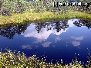 [P14] Lac din Tarnovul Mohos » foto by cristisch2003
 - 
<span class="allrVoted glyphicon glyphicon-heart hidden" id="av349663"></span>
<a class="m-l-10 hidden" id="sv349663" onclick="voting_Foto_DelVot(,349663,3998)" role="button">șterge vot <span class="glyphicon glyphicon-remove"></span></a>
<a id="v9349663" class=" c-red"  onclick="voting_Foto_SetVot(349663)" role="button"><span class="glyphicon glyphicon-heart-empty"></span> <b>LIKE</b> = Votează poza</a> <img class="hidden"  id="f349663W9" src="/imagini/loader.gif" border="0" /><span class="AjErrMes hidden" id="e349663ErM"></span>