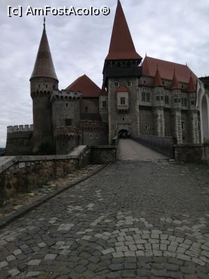 [P09] Castelul vazut din față » foto by nelu73
 - 
<span class="allrVoted glyphicon glyphicon-heart hidden" id="av1255121"></span>
<a class="m-l-10 hidden" id="sv1255121" onclick="voting_Foto_DelVot(,1255121,4000)" role="button">șterge vot <span class="glyphicon glyphicon-remove"></span></a>
<a id="v91255121" class=" c-red"  onclick="voting_Foto_SetVot(1255121)" role="button"><span class="glyphicon glyphicon-heart-empty"></span> <b>LIKE</b> = Votează poza</a> <img class="hidden"  id="f1255121W9" src="/imagini/loader.gif" border="0" /><span class="AjErrMes hidden" id="e1255121ErM"></span>