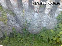 [P12] faimoasa Groapa a Ursilor, unde erau aruncati prizonierii » foto by biancuta
 - 
<span class="allrVoted glyphicon glyphicon-heart hidden" id="av42034"></span>
<a class="m-l-10 hidden" id="sv42034" onclick="voting_Foto_DelVot(,42034,4000)" role="button">șterge vot <span class="glyphicon glyphicon-remove"></span></a>
<a id="v942034" class=" c-red"  onclick="voting_Foto_SetVot(42034)" role="button"><span class="glyphicon glyphicon-heart-empty"></span> <b>LIKE</b> = Votează poza</a> <img class="hidden"  id="f42034W9" src="/imagini/loader.gif" border="0" /><span class="AjErrMes hidden" id="e42034ErM"></span>