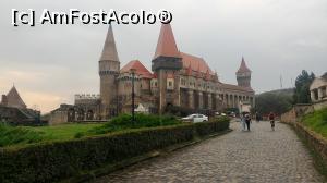 [P05]  -- <small>// FĂRĂ DESCRIERE</small> » foto by umflatila
 - 
<span class="allrVoted glyphicon glyphicon-heart hidden" id="av797448"></span>
<a class="m-l-10 hidden" id="sv797448" onclick="voting_Foto_DelVot(,797448,4000)" role="button">șterge vot <span class="glyphicon glyphicon-remove"></span></a>
<a id="v9797448" class=" c-red"  onclick="voting_Foto_SetVot(797448)" role="button"><span class="glyphicon glyphicon-heart-empty"></span> <b>LIKE</b> = Votează poza</a> <img class="hidden"  id="f797448W9" src="/imagini/loader.gif" border="0" /><span class="AjErrMes hidden" id="e797448ErM"></span>
