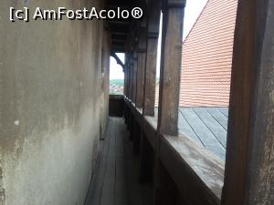 [P17] La balcon » foto by mugur007
 - 
<span class="allrVoted glyphicon glyphicon-heart hidden" id="av742327"></span>
<a class="m-l-10 hidden" id="sv742327" onclick="voting_Foto_DelVot(,742327,4000)" role="button">șterge vot <span class="glyphicon glyphicon-remove"></span></a>
<a id="v9742327" class=" c-red"  onclick="voting_Foto_SetVot(742327)" role="button"><span class="glyphicon glyphicon-heart-empty"></span> <b>LIKE</b> = Votează poza</a> <img class="hidden"  id="f742327W9" src="/imagini/loader.gif" border="0" /><span class="AjErrMes hidden" id="e742327ErM"></span>