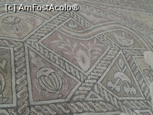 [P09] Constanța, Edificiul Roman cu Mozaic, Parte din covorul de mozaic cu Arme gen securi duble dar și scut pelta » foto by mprofeanu
 - 
<span class="allrVoted glyphicon glyphicon-heart hidden" id="av1509430"></span>
<a class="m-l-10 hidden" id="sv1509430" onclick="voting_Foto_DelVot(,1509430,4001)" role="button">șterge vot <span class="glyphicon glyphicon-remove"></span></a>
<a id="v91509430" class=" c-red"  onclick="voting_Foto_SetVot(1509430)" role="button"><span class="glyphicon glyphicon-heart-empty"></span> <b>LIKE</b> = Votează poza</a> <img class="hidden"  id="f1509430W9" src="/imagini/loader.gif" border="0" /><span class="AjErrMes hidden" id="e1509430ErM"></span>