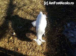 [P15] în microzervație. nu am făcut prea multe poze, le-am preferat pe cele cu copiii :P » foto by ariciu*
 - 
<span class="allrVoted glyphicon glyphicon-heart hidden" id="av588174"></span>
<a class="m-l-10 hidden" id="sv588174" onclick="voting_Foto_DelVot(,588174,4001)" role="button">șterge vot <span class="glyphicon glyphicon-remove"></span></a>
<a id="v9588174" class=" c-red"  onclick="voting_Foto_SetVot(588174)" role="button"><span class="glyphicon glyphicon-heart-empty"></span> <b>LIKE</b> = Votează poza</a> <img class="hidden"  id="f588174W9" src="/imagini/loader.gif" border="0" /><span class="AjErrMes hidden" id="e588174ErM"></span>