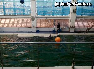 [P18] Delfinariu. înainte de începerea reprezentației. nu am făcut poze pentru că am preferat să filmăm. dar AmFostAcolo » foto by ariciu*
 - 
<span class="allrVoted glyphicon glyphicon-heart hidden" id="av588177"></span>
<a class="m-l-10 hidden" id="sv588177" onclick="voting_Foto_DelVot(,588177,4001)" role="button">șterge vot <span class="glyphicon glyphicon-remove"></span></a>
<a id="v9588177" class=" c-red"  onclick="voting_Foto_SetVot(588177)" role="button"><span class="glyphicon glyphicon-heart-empty"></span> <b>LIKE</b> = Votează poza</a> <img class="hidden"  id="f588177W9" src="/imagini/loader.gif" border="0" /><span class="AjErrMes hidden" id="e588177ErM"></span>