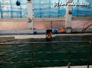 [P19] Delfinariu. înainte de începerea reprezentației. nu am făcut poze pentru că am preferat să filmăm, dar mergeți că merită.  » foto by ariciu*
 - 
<span class="allrVoted glyphicon glyphicon-heart hidden" id="av588178"></span>
<a class="m-l-10 hidden" id="sv588178" onclick="voting_Foto_DelVot(,588178,4001)" role="button">șterge vot <span class="glyphicon glyphicon-remove"></span></a>
<a id="v9588178" class=" c-red"  onclick="voting_Foto_SetVot(588178)" role="button"><span class="glyphicon glyphicon-heart-empty"></span> <b>LIKE</b> = Votează poza</a> <img class="hidden"  id="f588178W9" src="/imagini/loader.gif" border="0" /><span class="AjErrMes hidden" id="e588178ErM"></span>