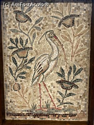 [P23] Edificiul Roman cu Mozaic. Mozaic din expoziția studenților de la Alba Iulia. » foto by Floria
 - 
<span class="allrVoted glyphicon glyphicon-heart hidden" id="av1523764"></span>
<a class="m-l-10 hidden" id="sv1523764" onclick="voting_Foto_DelVot(,1523764,4001)" role="button">șterge vot <span class="glyphicon glyphicon-remove"></span></a>
<a id="v91523764" class=" c-red"  onclick="voting_Foto_SetVot(1523764)" role="button"><span class="glyphicon glyphicon-heart-empty"></span> <b>LIKE</b> = Votează poza</a> <img class="hidden"  id="f1523764W9" src="/imagini/loader.gif" border="0" /><span class="AjErrMes hidden" id="e1523764ErM"></span>