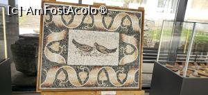 [P26] 26. Nu sunt artefacte din vechime, ci creații ale unor artiști contemporani. » foto by msnd
 - 
<span class="allrVoted glyphicon glyphicon-heart hidden" id="av1523424"></span>
<a class="m-l-10 hidden" id="sv1523424" onclick="voting_Foto_DelVot(,1523424,4001)" role="button">șterge vot <span class="glyphicon glyphicon-remove"></span></a>
<a id="v91523424" class=" c-red"  onclick="voting_Foto_SetVot(1523424)" role="button"><span class="glyphicon glyphicon-heart-empty"></span> <b>LIKE</b> = Votează poza</a> <img class="hidden"  id="f1523424W9" src="/imagini/loader.gif" border="0" /><span class="AjErrMes hidden" id="e1523424ErM"></span>