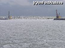[P21] Intrarea in portul Tomis blocata » foto by pepsi70ro
 - 
<span class="allrVoted glyphicon glyphicon-heart hidden" id="av30619"></span>
<a class="m-l-10 hidden" id="sv30619" onclick="voting_Foto_DelVot(,30619,4001)" role="button">șterge vot <span class="glyphicon glyphicon-remove"></span></a>
<a id="v930619" class=" c-red"  onclick="voting_Foto_SetVot(30619)" role="button"><span class="glyphicon glyphicon-heart-empty"></span> <b>LIKE</b> = Votează poza</a> <img class="hidden"  id="f30619W9" src="/imagini/loader.gif" border="0" /><span class="AjErrMes hidden" id="e30619ErM"></span>