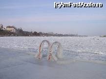 [P41]  -- <small>// FĂRĂ DESCRIERE</small> » foto by pepsi70ro
 - 
<span class="allrVoted glyphicon glyphicon-heart hidden" id="av41153"></span>
<a class="m-l-10 hidden" id="sv41153" onclick="voting_Foto_DelVot(,41153,4001)" role="button">șterge vot <span class="glyphicon glyphicon-remove"></span></a>
<a id="v941153" class=" c-red"  onclick="voting_Foto_SetVot(41153)" role="button"><span class="glyphicon glyphicon-heart-empty"></span> <b>LIKE</b> = Votează poza</a> <img class="hidden"  id="f41153W9" src="/imagini/loader.gif" border="0" /><span class="AjErrMes hidden" id="e41153ErM"></span>