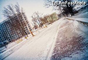 [P21] Prin Mamaia, în puterea viscolului hibernal... Nu ştiu pentru alţii cum este, dar pentru Omul Mării e mult mai fascinant decât vara!...  » foto by Neptunus
 - 
<span class="allrVoted glyphicon glyphicon-heart hidden" id="av470696"></span>
<a class="m-l-10 hidden" id="sv470696" onclick="voting_Foto_DelVot(,470696,4001)" role="button">șterge vot <span class="glyphicon glyphicon-remove"></span></a>
<a id="v9470696" class=" c-red"  onclick="voting_Foto_SetVot(470696)" role="button"><span class="glyphicon glyphicon-heart-empty"></span> <b>LIKE</b> = Votează poza</a> <img class="hidden"  id="f470696W9" src="/imagini/loader.gif" border="0" /><span class="AjErrMes hidden" id="e470696ErM"></span>