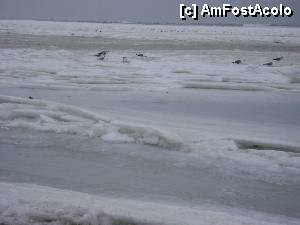 [P33] La malul mării, la Mamaia... Dar nu aşa cum e obişnuită majoritatea lumii, ci altfel, mult mai fascinant... 
Anotimpul hibernal nu are egal pe litoral...  » foto by Neptunus
 - 
<span class="allrVoted glyphicon glyphicon-heart hidden" id="av470708"></span>
<a class="m-l-10 hidden" id="sv470708" onclick="voting_Foto_DelVot(,470708,4001)" role="button">șterge vot <span class="glyphicon glyphicon-remove"></span></a>
<a id="v9470708" class=" c-red"  onclick="voting_Foto_SetVot(470708)" role="button"><span class="glyphicon glyphicon-heart-empty"></span> <b>LIKE</b> = Votează poza</a> <img class="hidden"  id="f470708W9" src="/imagini/loader.gif" border="0" /><span class="AjErrMes hidden" id="e470708ErM"></span>
