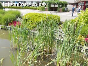 [P09] În plan îndepărtat - foișorul pentru fumători » foto by Alina53
 - 
<span class="allrVoted glyphicon glyphicon-heart hidden" id="av876328"></span>
<a class="m-l-10 hidden" id="sv876328" onclick="voting_Foto_DelVot(,876328,4010)" role="button">șterge vot <span class="glyphicon glyphicon-remove"></span></a>
<a id="v9876328" class=" c-red"  onclick="voting_Foto_SetVot(876328)" role="button"><span class="glyphicon glyphicon-heart-empty"></span> <b>LIKE</b> = Votează poza</a> <img class="hidden"  id="f876328W9" src="/imagini/loader.gif" border="0" /><span class="AjErrMes hidden" id="e876328ErM"></span>