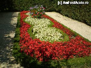 [P08] Fără bonus.  » foto by Mihai18
 - 
<span class="allrVoted glyphicon glyphicon-heart hidden" id="av689173"></span>
<a class="m-l-10 hidden" id="sv689173" onclick="voting_Foto_DelVot(,689173,4023)" role="button">șterge vot <span class="glyphicon glyphicon-remove"></span></a>
<a id="v9689173" class=" c-red"  onclick="voting_Foto_SetVot(689173)" role="button"><span class="glyphicon glyphicon-heart-empty"></span> <b>LIKE</b> = Votează poza</a> <img class="hidden"  id="f689173W9" src="/imagini/loader.gif" border="0" /><span class="AjErrMes hidden" id="e689173ErM"></span>