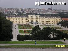 [P01] Palatul Schonbrunn,gradina cu splendide combinatii de flori si,in spate,o mica parte din oras - poza facuta in drum spre Gloriette » foto by ms65
 - 
<span class="allrVoted glyphicon glyphicon-heart hidden" id="av47263"></span>
<a class="m-l-10 hidden" id="sv47263" onclick="voting_Foto_DelVot(,47263,4023)" role="button">șterge vot <span class="glyphicon glyphicon-remove"></span></a>
<a id="v947263" class=" c-red"  onclick="voting_Foto_SetVot(47263)" role="button"><span class="glyphicon glyphicon-heart-empty"></span> <b>LIKE</b> = Votează poza</a> <img class="hidden"  id="f47263W9" src="/imagini/loader.gif" border="0" /><span class="AjErrMes hidden" id="e47263ErM"></span>