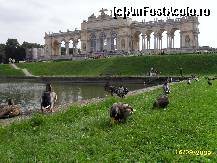 [P04] Pe coama dealului se inalta Gloriette, care are o cafenea la parter iar de pe platforma de la etaj se poate vedea castelul si o parte din oras » foto by ms65
 - 
<span class="allrVoted glyphicon glyphicon-heart hidden" id="av47320"></span>
<a class="m-l-10 hidden" id="sv47320" onclick="voting_Foto_DelVot(,47320,4023)" role="button">șterge vot <span class="glyphicon glyphicon-remove"></span></a>
<a id="v947320" class=" c-red"  onclick="voting_Foto_SetVot(47320)" role="button"><span class="glyphicon glyphicon-heart-empty"></span> <b>LIKE</b> = Votează poza</a> <img class="hidden"  id="f47320W9" src="/imagini/loader.gif" border="0" /><span class="AjErrMes hidden" id="e47320ErM"></span>